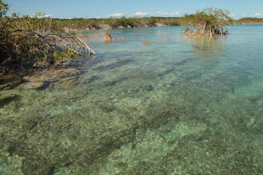 Casa China Bacalar Otel Dış mekan fotoğraf